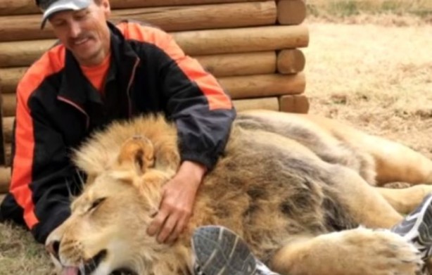 Foto - Aslanın kafesine köpek bıraktılar... Herkes, olanları şaşkınlıkla izledi