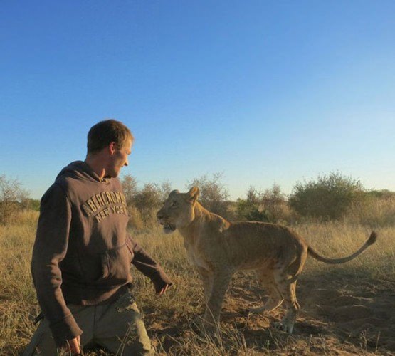 Foto - Aslanın şaşırtan sevgisi