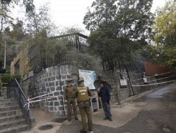 Foto - Aslanlara yem oldu!