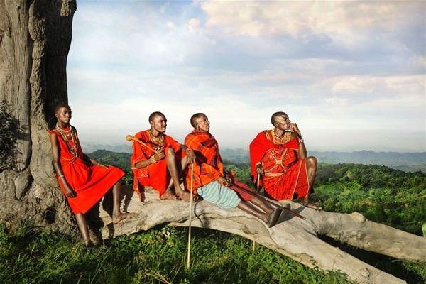 Foto - Aslanların uçsuz bucaksız diyarı