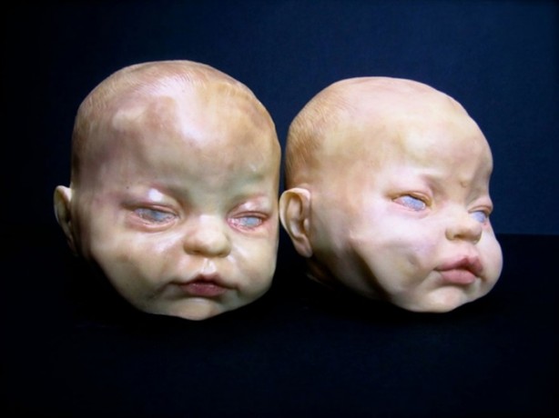 Foto - Aslında ne olduklarını öğrenince çok şaşıracaksınız...