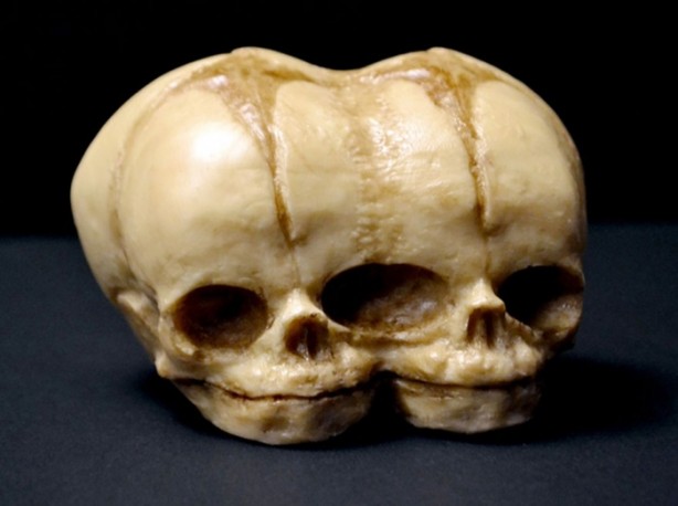 Foto - Aslında ne olduklarını öğrenince çok şaşıracaksınız...