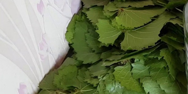 Foto - Asma yaprağı nasıl saklanır? Yaprak saklama yöntemleri! Pratik ve kolay