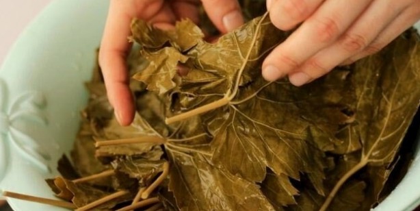 Foto - Asma yaprağı nasıl saklanır? Yaprak saklama yöntemleri! Pratik ve kolay