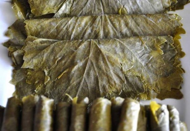 Foto - Asma yaprağında tehlike!