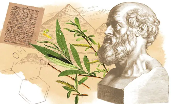 Foto - Aspirin bakın nasıl ortaya çıkmış! Hikayesi herkesin tüylerini ürpertecek