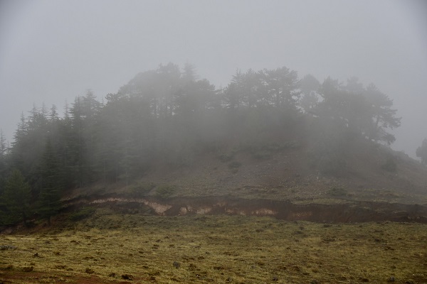 Foto - Asrın felaketinden aylar sonra görüntülendi