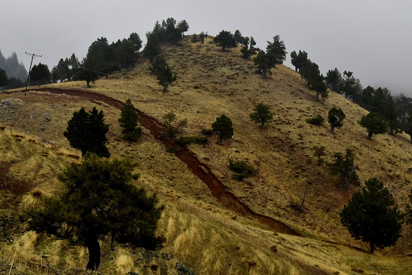 Asrın felaketinden aylar sonra görüntülendi