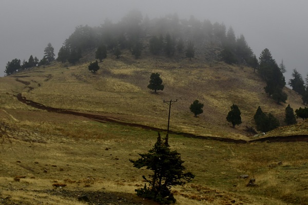 Foto - Asrın felaketinden aylar sonra görüntülendi
