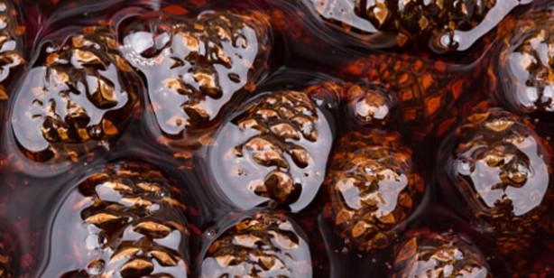 Foto - Astım ve bronşit için doğal şifa! İltihap ve enfeksiyon ile savaşıyor! Öksürük önleyici, balgam söktürücü