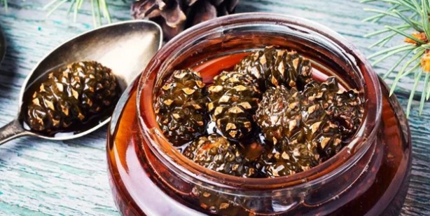 Foto - Astım ve bronşit için doğal şifa! İltihap ve enfeksiyon ile savaşıyor! Öksürük önleyici, balgam söktürücü