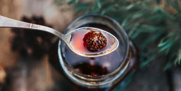 Foto - Astım ve bronşit için doğal şifa! İltihap ve enfeksiyon ile savaşıyor! Öksürük önleyici, balgam söktürücü