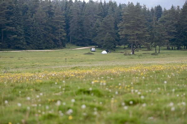 Foto - At Yaylası yeşillenen otlaklarıyla misafirlerini ağırlıyor