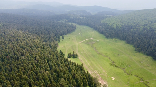 Foto - At Yaylası yeşillenen otlaklarıyla misafirlerini ağırlıyor