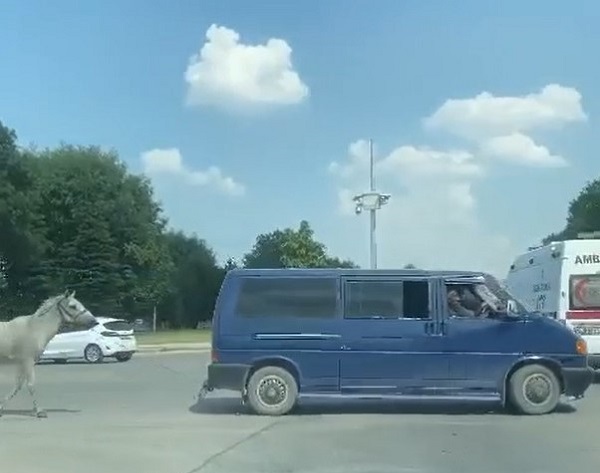 Foto - Ata böyle eziyet ettiler! 