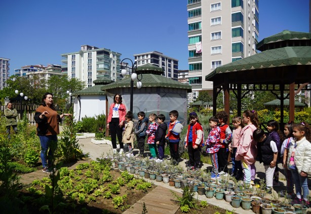 Foto - Ata tohumlar, Atakum’dan geleceğe taşınıyor