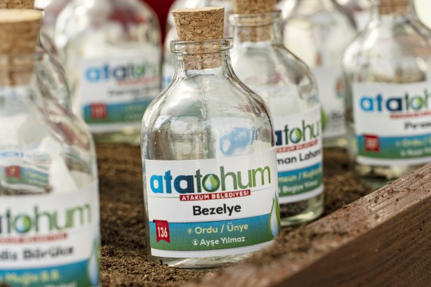 Foto - Ata tohumlar, Atakum’dan geleceğe taşınıyor