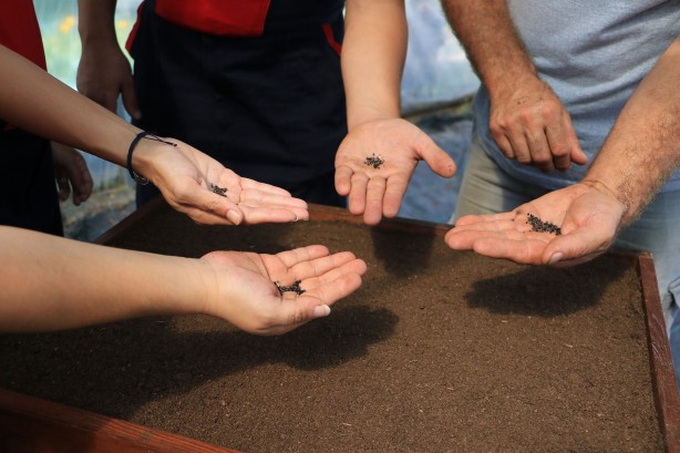 Foto - Ata tohumlar, Atakum’dan geleceğe taşınıyor