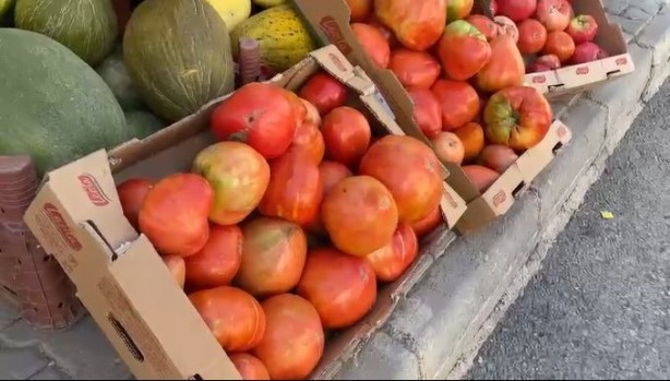 Foto - Ata tohumunu tarlasına ekti! Çıkan domates herkesi şok etti, böylesi ilk kez oluyor