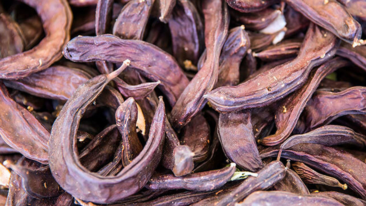Foto - Atalarımızın vazgeçilmezi doğal besini! Kürünü yapıp bardak bardak için! Vücudu kaya gibi güçlendiriyor
