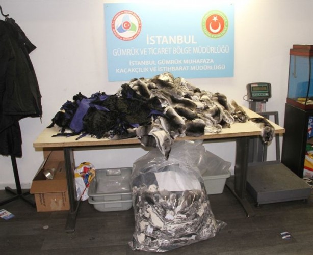 Foto - Atatürk Havalimanı'nda kaçak kürk yakalandı