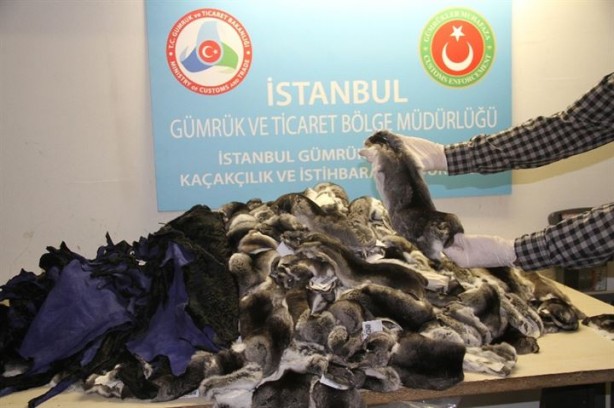 Foto - Atatürk Havalimanı'nda kaçak kürk yakalandı
