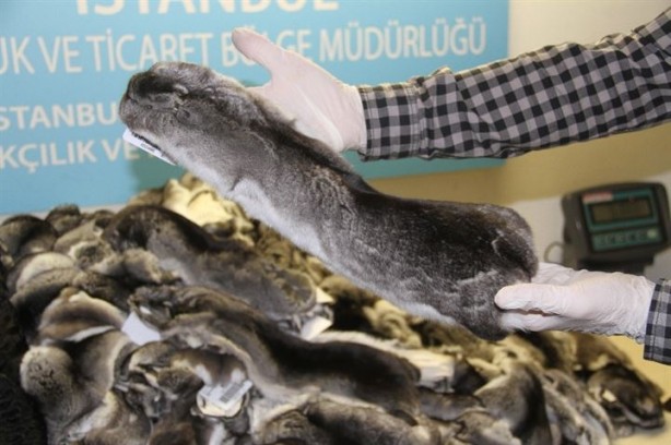 Foto - Atatürk Havalimanı'nda kaçak kürk yakalandı