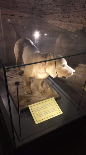 Foto - Atatürk’ün köpeğini tanıyor musunuz?