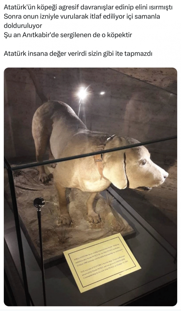 Foto - Atatürk’ün köpeğini tanıyor musunuz?