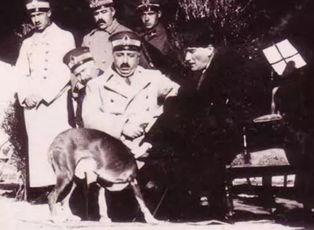 Atatürk’ün köpeğini tanıyor musunuz?