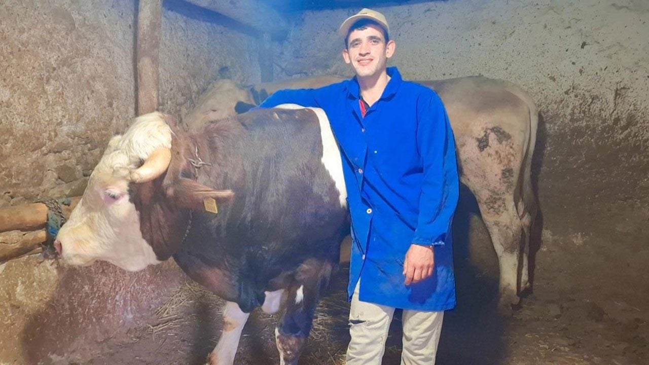 Foto - Ateş ve Paşa’yı gören bir daha bakıyor! Eskişehir’in dev danaları Guinness’e hazırlanıyor
