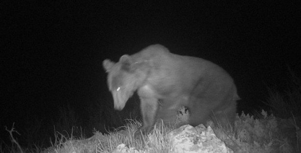 Foto - Atı saniyeler içinde... Bu görüntüler Türkiye'de çekildi!