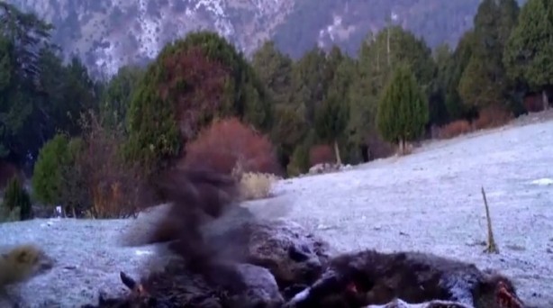 Foto - Atı saniyeler içinde... Bu görüntüler Türkiye'de çekildi!