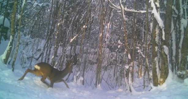 Foto - Atı saniyeler içinde... Bu görüntüler Türkiye'de çekildi!