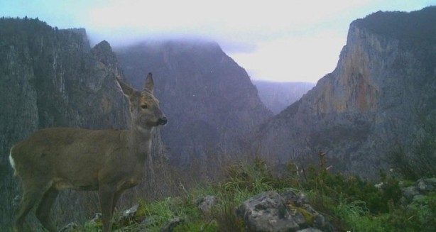 Foto - Atı saniyeler içinde... Bu görüntüler Türkiye'de çekildi!