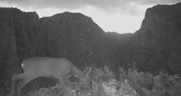 Foto - Atı saniyeler içinde... Bu görüntüler Türkiye'de çekildi!
