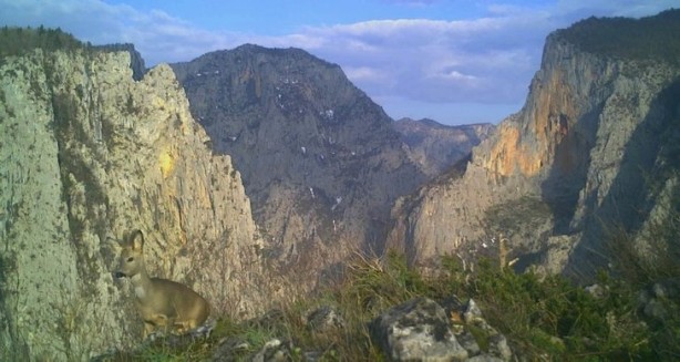 Foto - Atı saniyeler içinde... Bu görüntüler Türkiye'de çekildi!