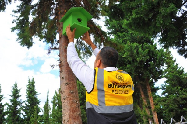 Foto - Atık ahşaplar kuşlara yuva oldu