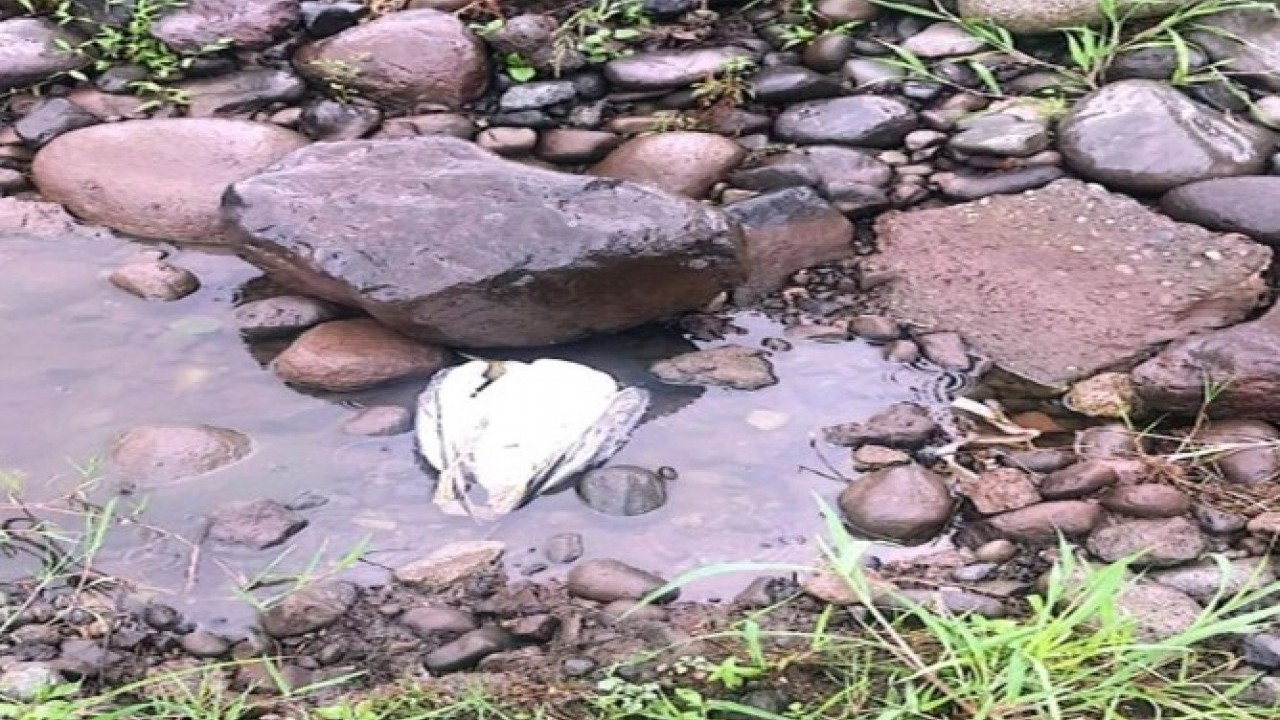 Foto - Atık tesisi borusu patladı! Balıklar telef oldu halk susuz kaldı