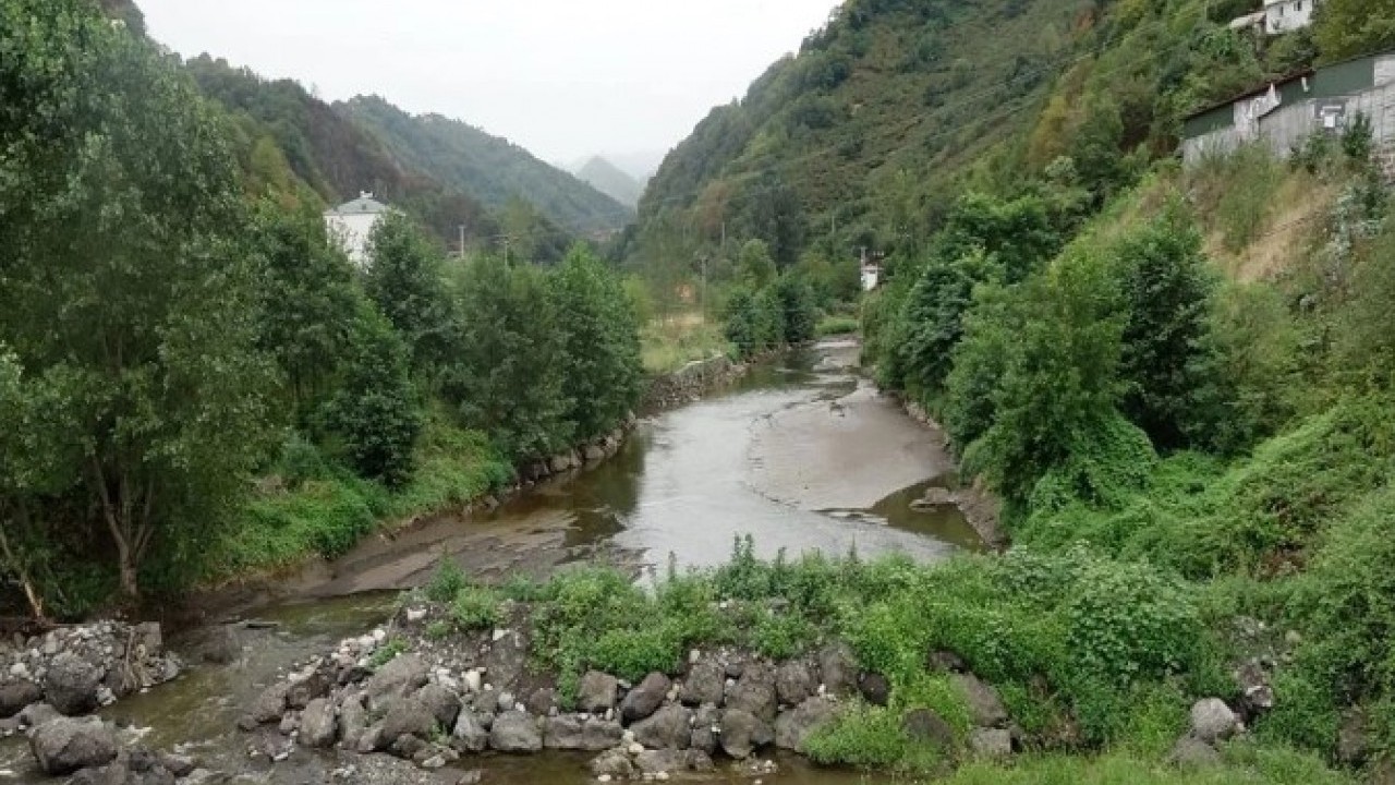 Foto - Atık tesisi borusu patladı! Balıklar telef oldu halk susuz kaldı