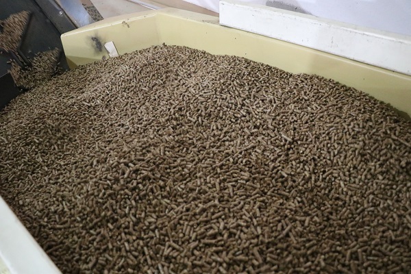 Foto - Atık ürünler böyle ekonomiye kazandırılıyor