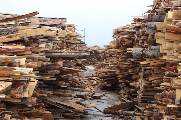 Foto - Atık ürünler böyle ekonomiye kazandırılıyor