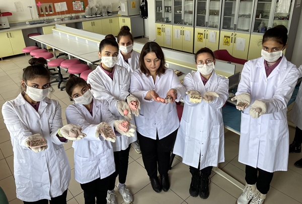 Foto - Atık yağları hijyen malzemesine dönüştürüyorlar!