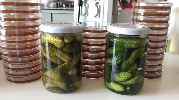 Foto - 'Atık yoğurt suyu' ile bunun yapılabileceğini biliyor muydunuz?