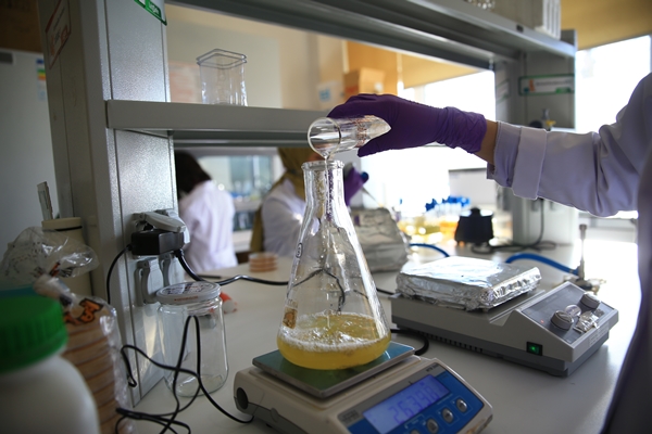 Foto - 'Atık yoğurt suyu' ile bunun yapılabileceğini biliyor muydunuz?