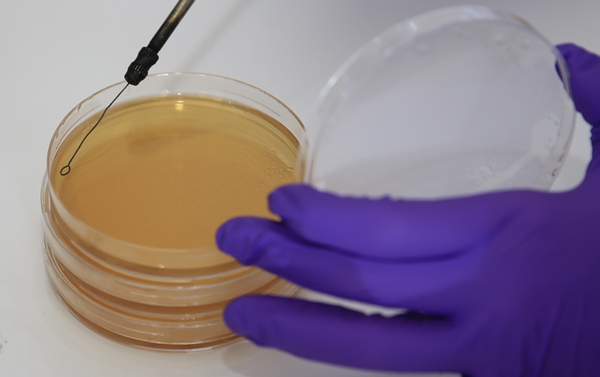 Foto - 'Atık yoğurt suyu' ile bunun yapılabileceğini biliyor muydunuz?