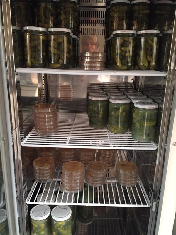 Foto - 'Atık yoğurt suyu' ile bunun yapılabileceğini biliyor muydunuz?