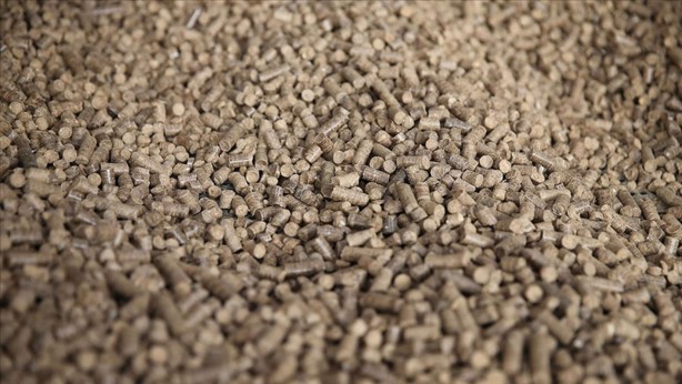 Foto - Atıkları değerlendirmek için bulduğu yöntemle köşeyi döndü! İnsanlara "Ne olur alın, 5 kuruş vermeden gidin" diye yalvarıyorlardı, şimdi satıp servet kazanıyor