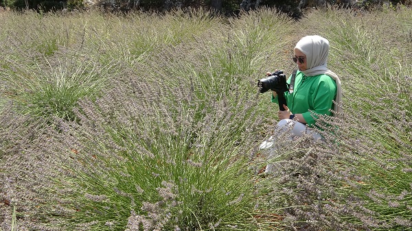 Foto - Atıl araziyi gelir kapısı yaptı