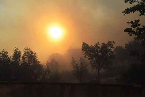 Foto - Atina'da orman yangını: Bölge sakinleri tahliye edildi